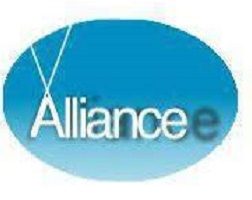 ALLIANCE INTERNATIONAL RECRUITMENT AND PLACEMENT SERVICES INC