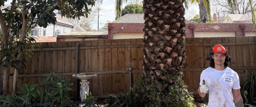 Bobby Pallier in a hard hat and ear defenders giving a thumbs up beside a large palm in a Melbourne backyard